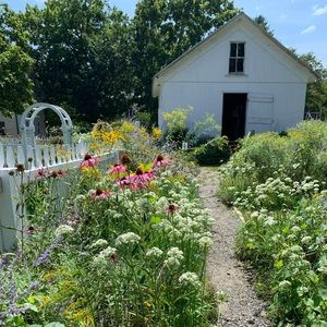 Meet your Posher, Daniella